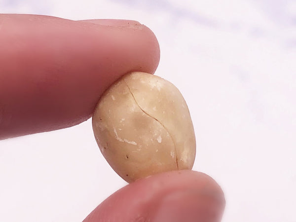 （NEW！）花小主南乳花生蒜香味 HXZ Nanru Peanut(garlic)