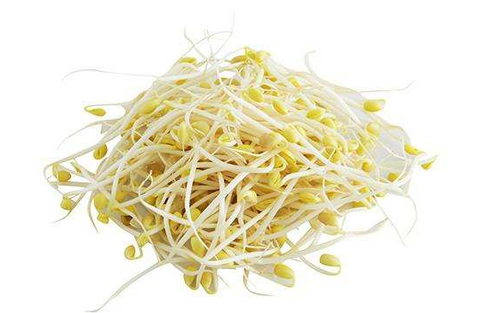 （收到立即冷藏！）新鲜黄豆芽350g Yelllow Beansprouts