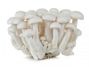 （收到立即冷藏！）白玉菇150g Shimeji Mushroom White