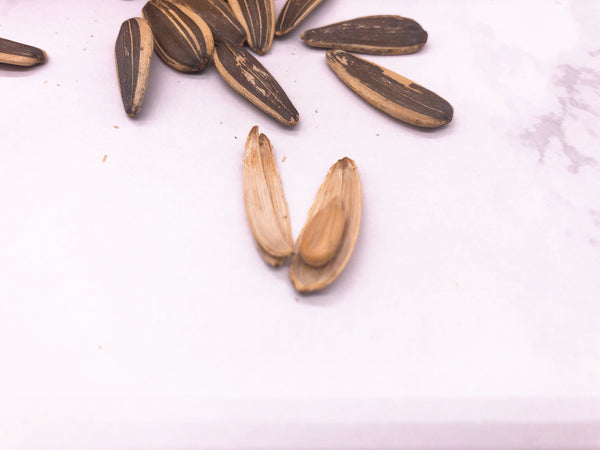 洽洽香瓜子 CC Roasted Sunflower Seed