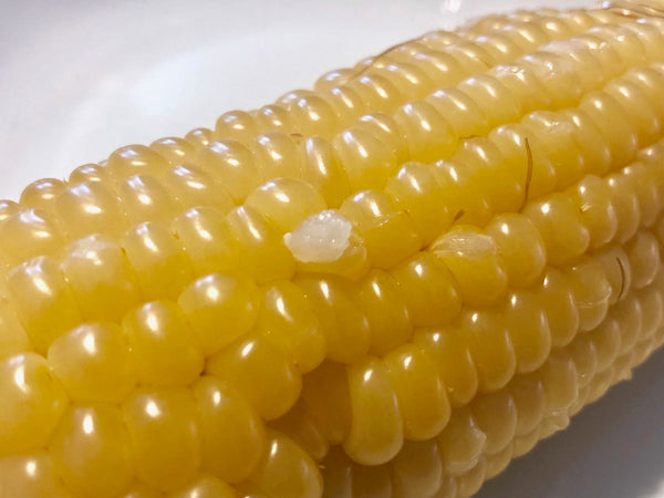 黄羊河真空糯玉米（白色）HYH Glutinous Corn(White)