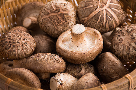 （收到立即冷藏！）新鲜香菇一盒 Shitake Mushroom